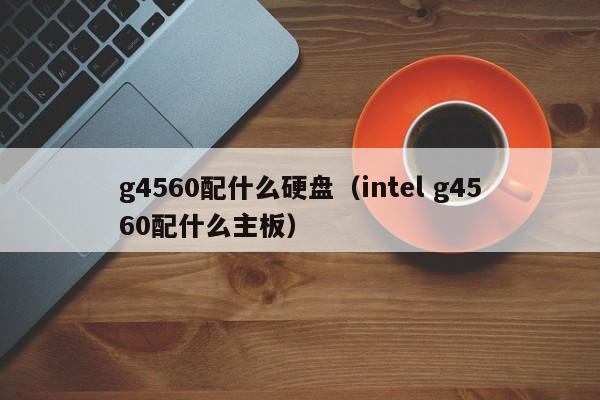 g4560配什么硬盘（intel g4560配什么主板）