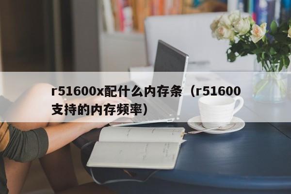 r51600x配什么内存条（r51600支持的内存频率）
