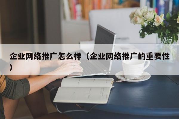 企业网络推广怎么样（企业网络推广的重要性）