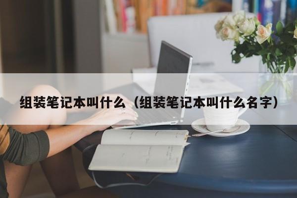 组装笔记本叫什么（组装笔记本叫什么名字）